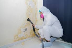 Best Real Estate Mold Inspection in Hollidaysburg, PA